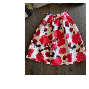 Day & Night size small stunning skirt